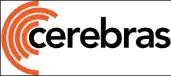 Cerebras Stock