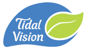 Tidal Vision stock